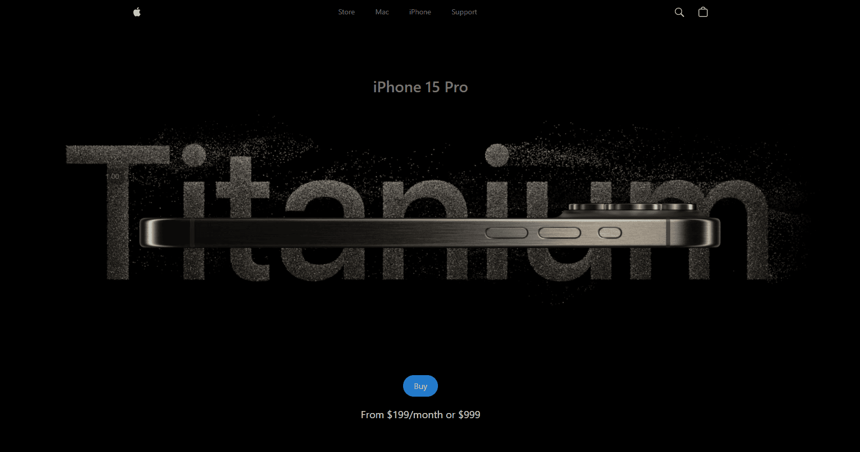 Project screenshot